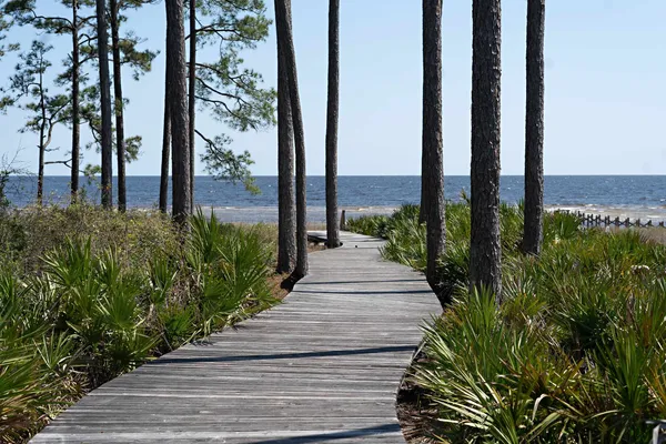 $69,900 | 147 Winding Trail Way, Unit LOT 388 EAST, Sopchoppy, FL 32358