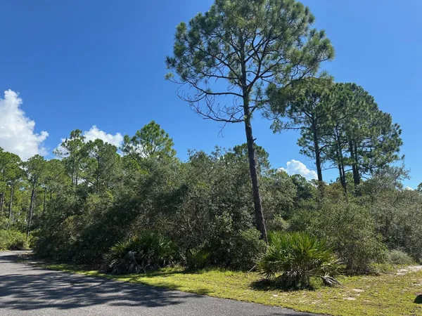 $69,900 | 147 Winding Trail Way, Unit LOT 388 EAST, Sopchoppy, FL 32358