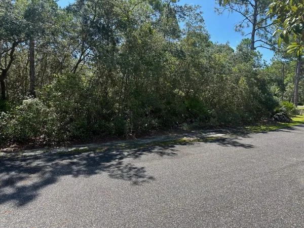 $69,900 | 147 Winding Trail Way, Unit LOT 388 EAST, Sopchoppy, FL 32358