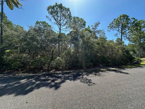 $69,900 | 147 Winding Trail Way, Unit LOT 388 EAST, Sopchoppy, FL 32358