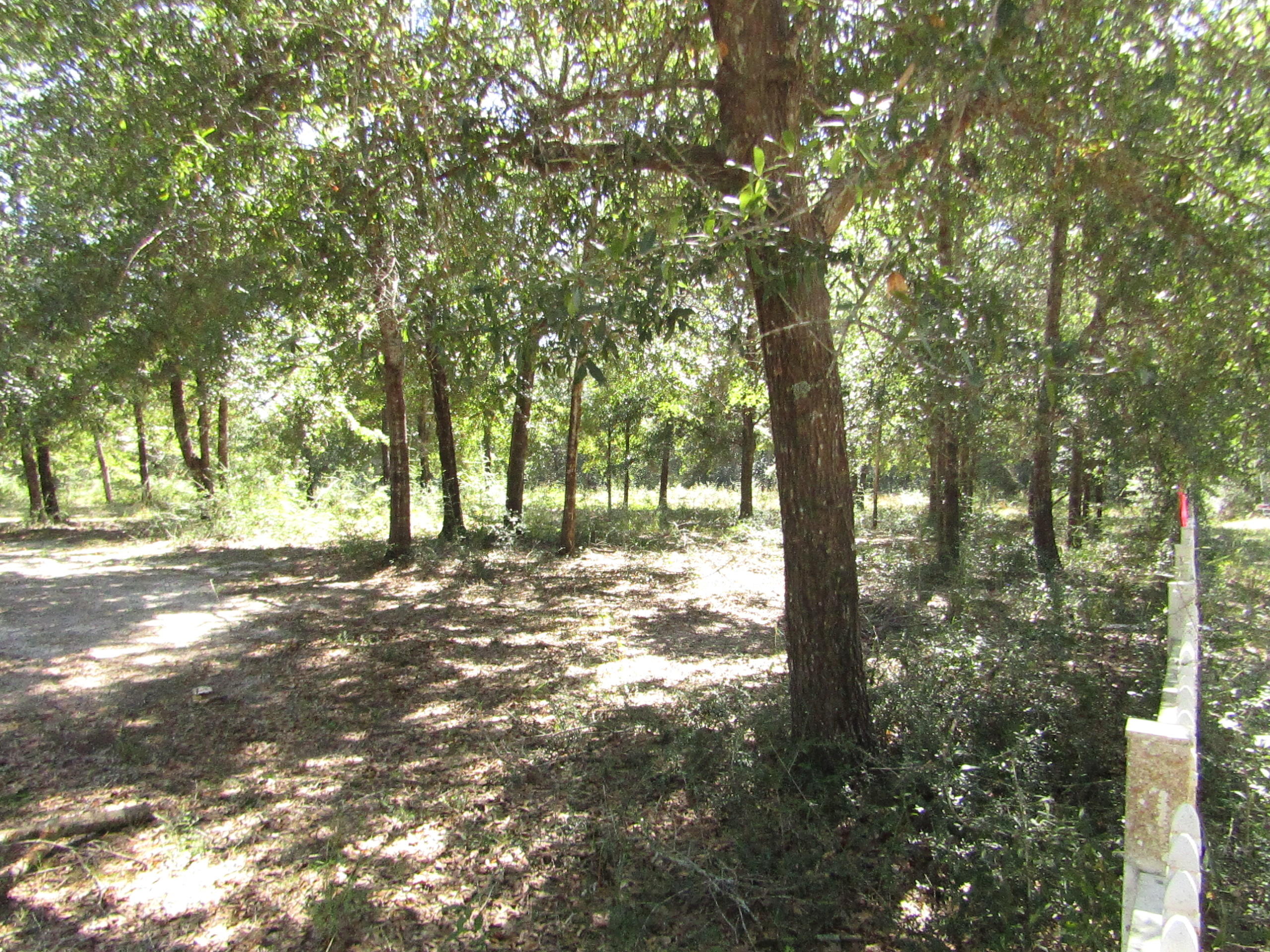 1034-1038 Valley Road Crestview, FL 32539 - Photo 3 of 22 Gallery Image 3