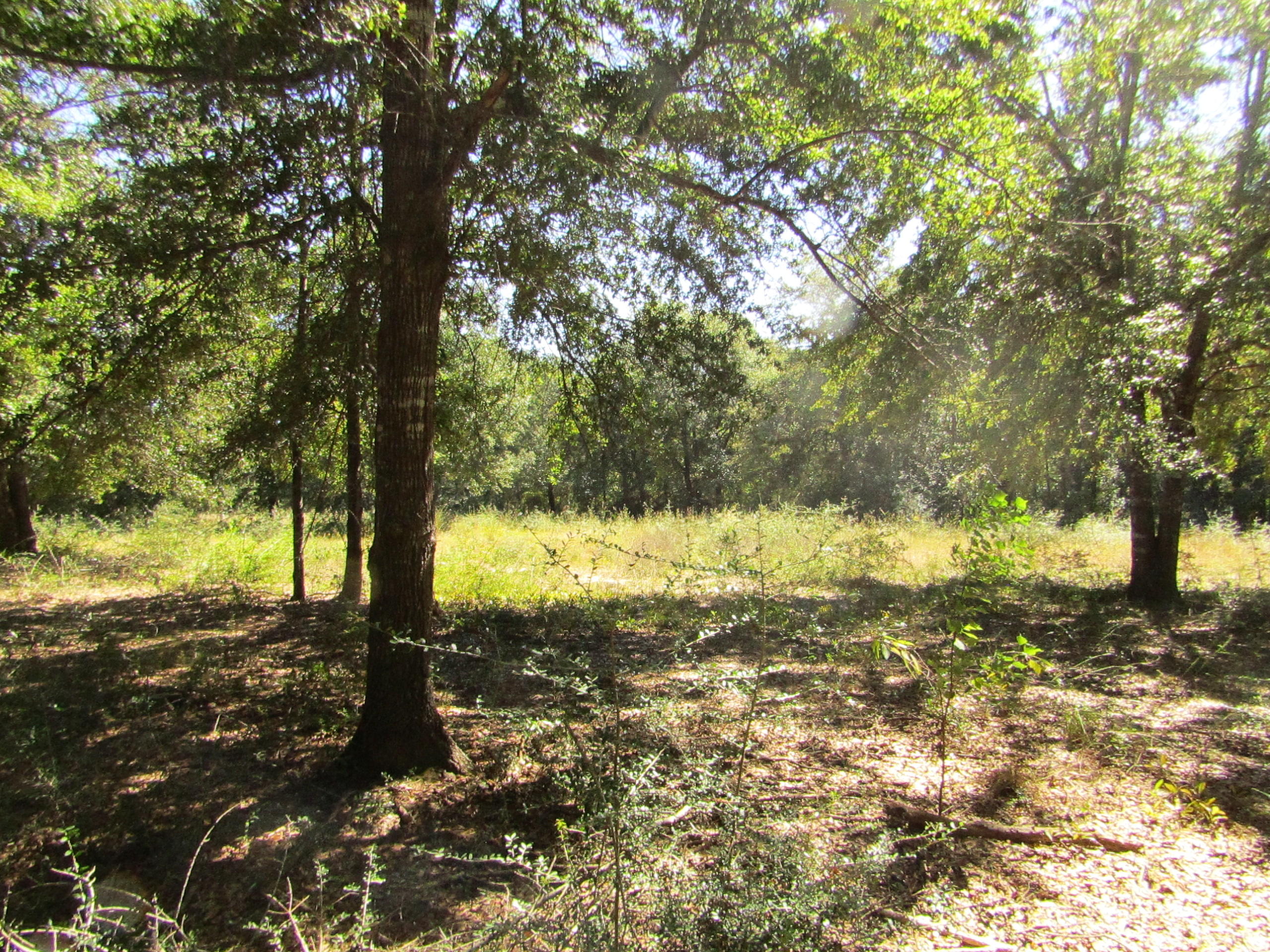 1034-1038 Valley Road Crestview, FL 32539 - Photo 8 of 22 Gallery Image 8