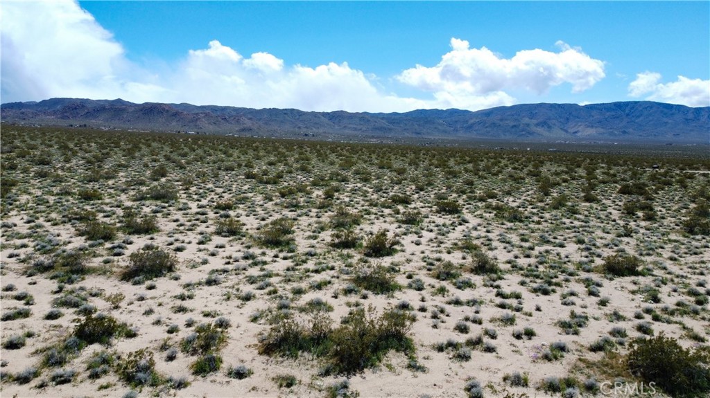 711 Last Mile (near) Road Johnson Valley, CA 92285 - Photo 6 of 8 a view of a city with mountain