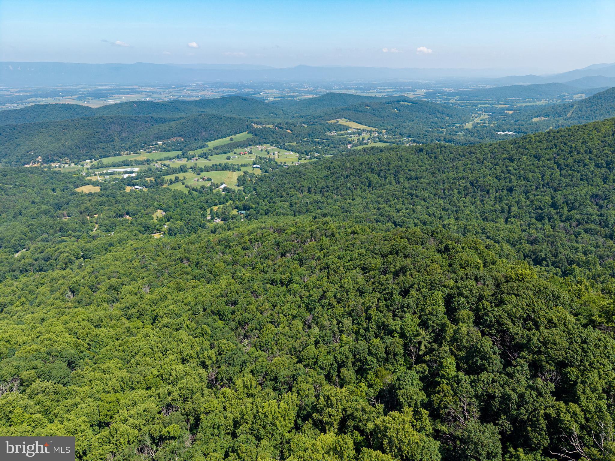 0 Helms Road Stanley, VA 22851 - Photo 12 of 50