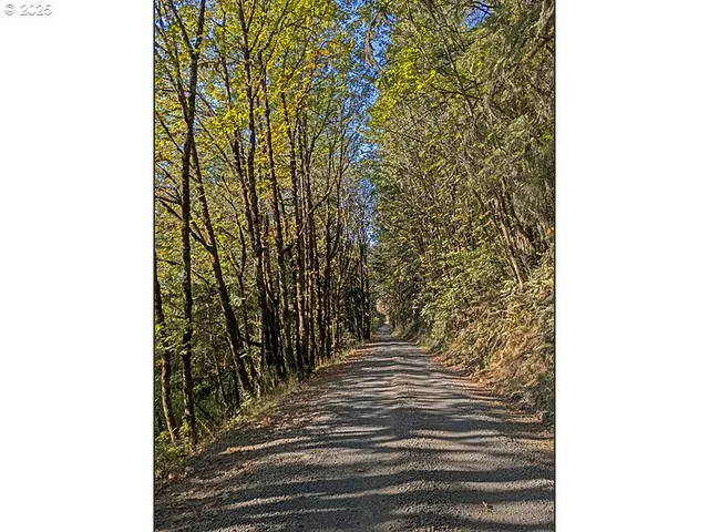 a view of a lake from a yard