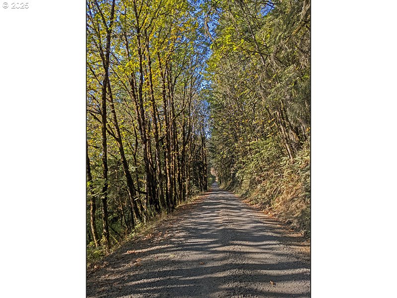 23999 Southwest Guenther Road Hillsboro, OR 97123 - Photo 11 of 16