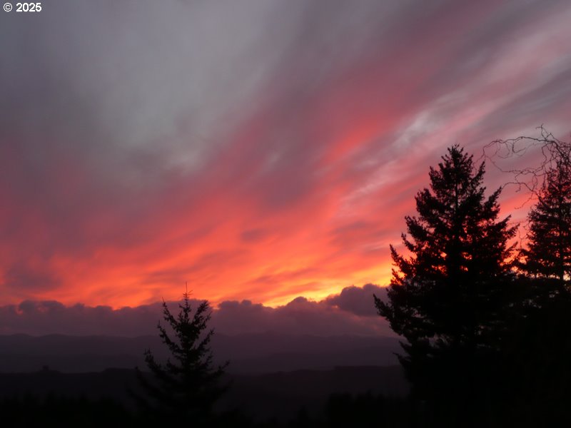 23999 Southwest Guenther Road Hillsboro, OR 97123 - Photo 13 of 16