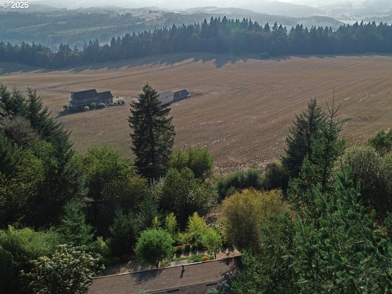 23999 Southwest Guenther Road Hillsboro, OR 97123 - Photo 14 of 16 a view of a lake from a yard