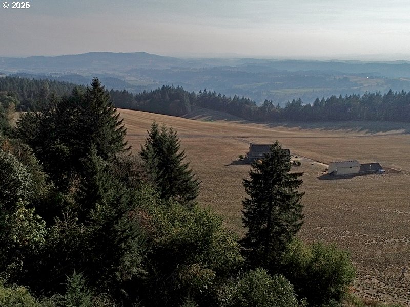 23999 Southwest Guenther Road Hillsboro, OR 97123 - Photo 16 of 16 a view of a lake from a yard