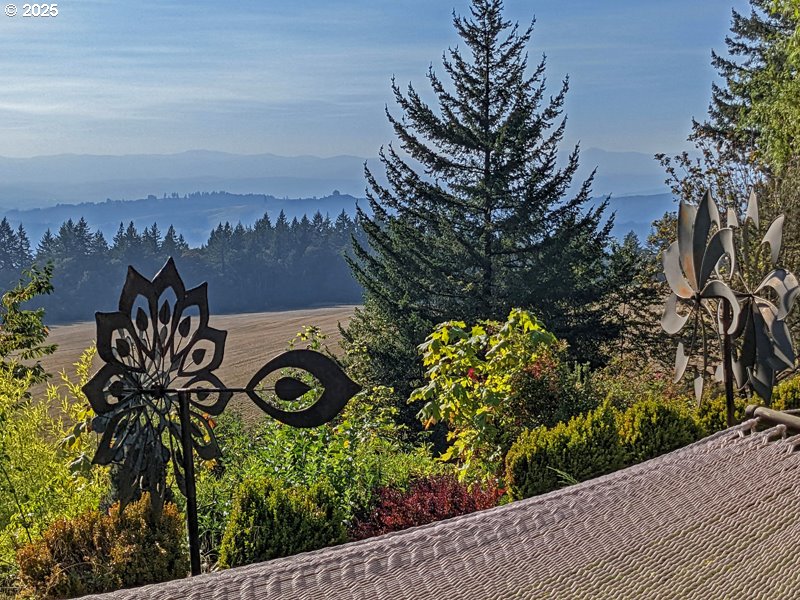 23999 Southwest Guenther Road Hillsboro, OR 97123 - Photo 4 of 16 a view of a street with a flower garden