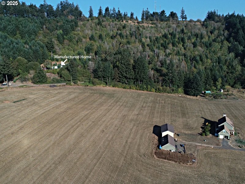 23999 Southwest Guenther Road Hillsboro, OR 97123 - Photo 7 of 16 a view of a yard