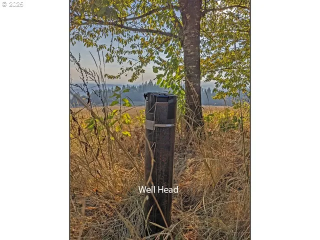 a backyard of a house