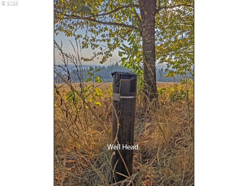 23999 Southwest Guenther Road Hillsboro, OR 97123 - Photo 10 of 16 a bathroom with a shower and a sink