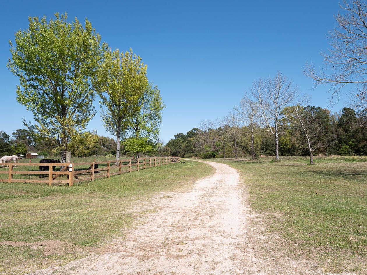1850 Clark Road, Unit LOT 13 Edisto Island, SC 29438 - Photo 14 of 25 Edisto-1495394