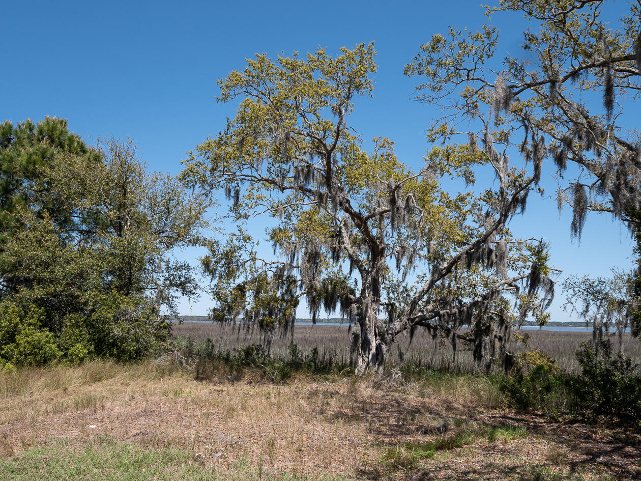 1850 Clark Road, Unit LOT 13 Edisto Island, SC 29438 - Photo 22 of 25 Edisto-1495325