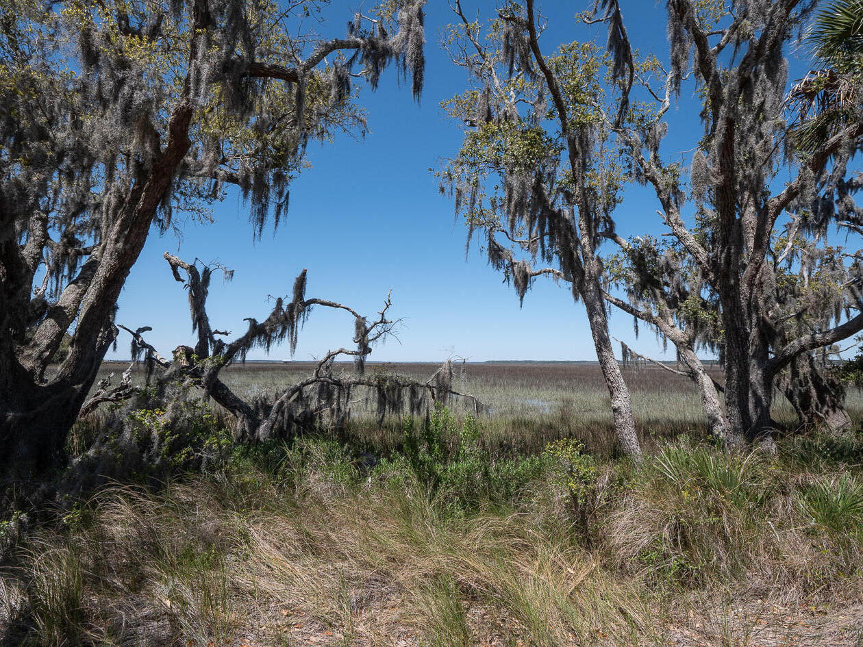 1850 Clark Road, Unit LOT 13 Edisto Island, SC 29438 - Photo 23 of 25 Edisto-1495338