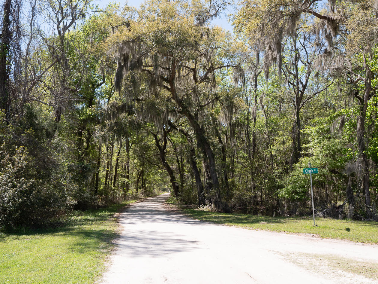 1850 Clark Road, Unit LOT 13 Edisto Island, SC 29438 - Photo 4 of 25 Edisto-1495382