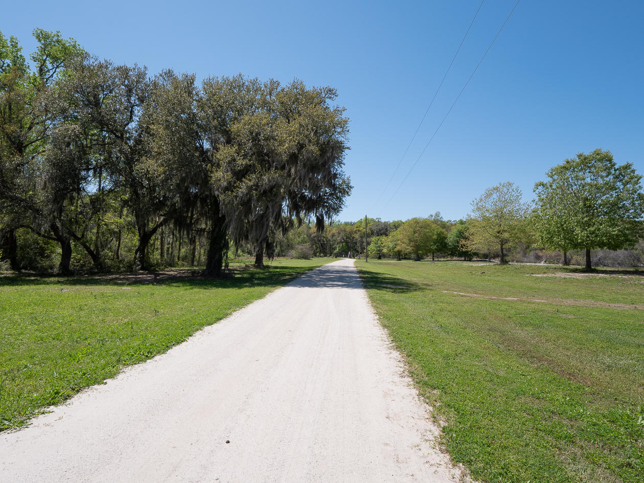 1850 Clark Road, Unit LOT 13 Edisto Island, SC 29438 - Photo 5 of 25 Edisto-1495391