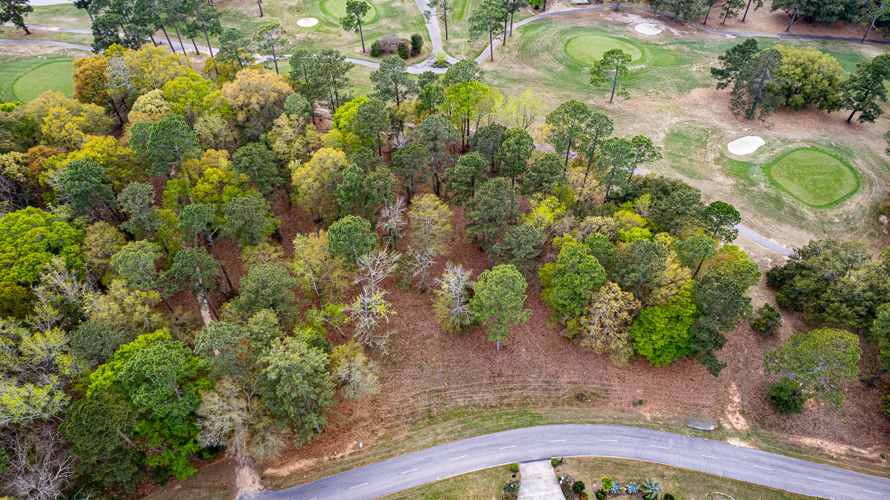 0 Saluda Drive Santee, SC 29142 - Photo 22 of 29 cm-15