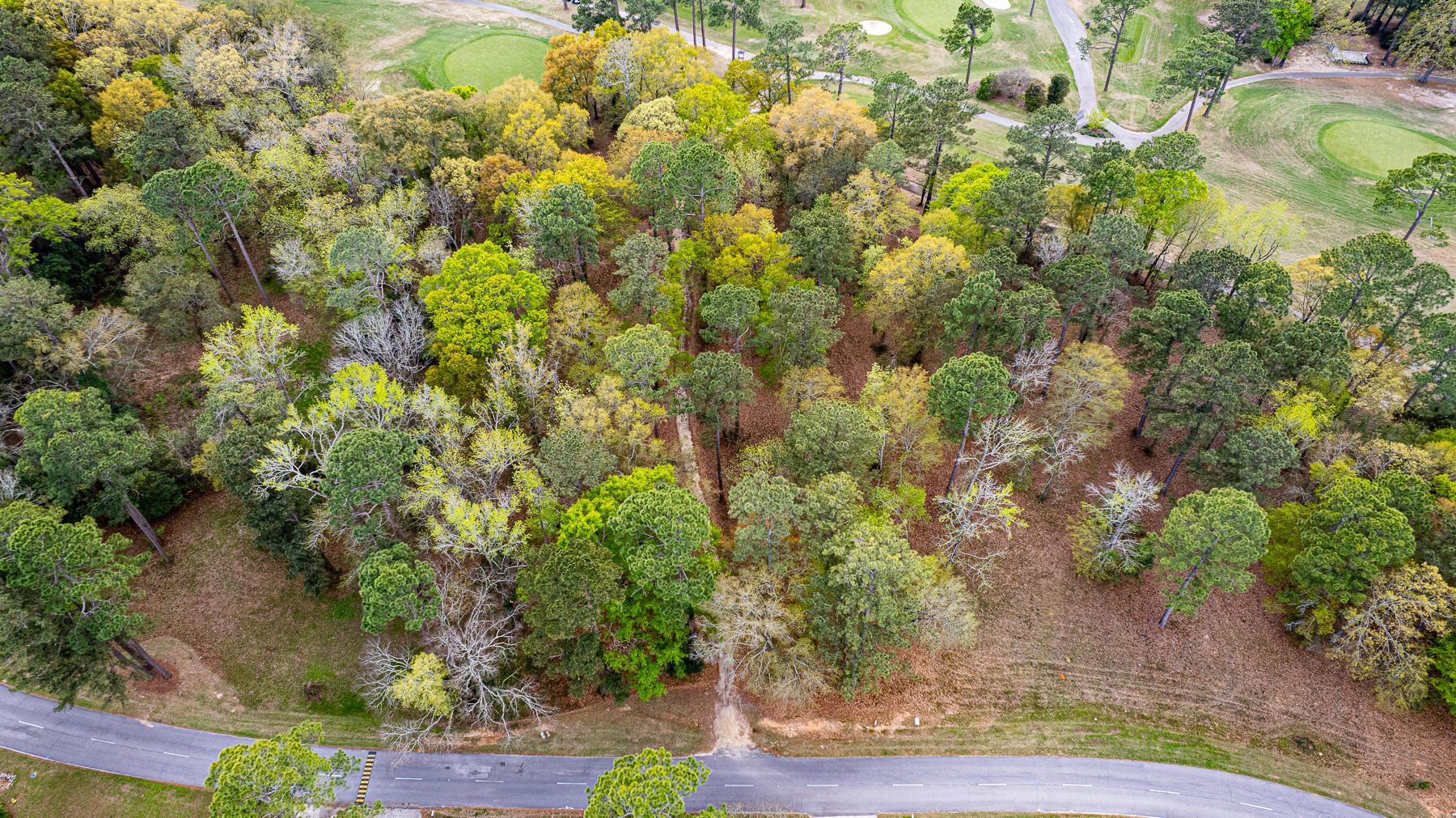 0 Saluda Drive Santee, SC 29142 - Photo 7 of 29 cm-16