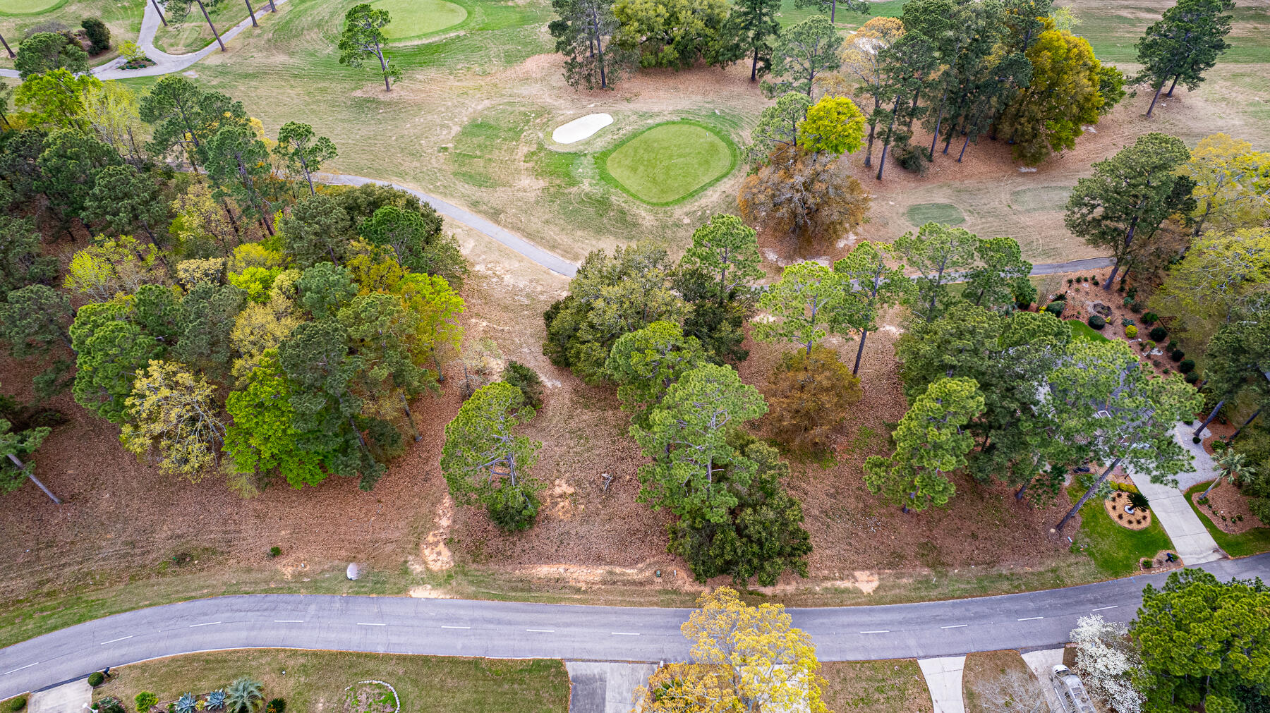 0 Saluda Drive Santee, SC 29142 - Photo 10 of 29 cm-13