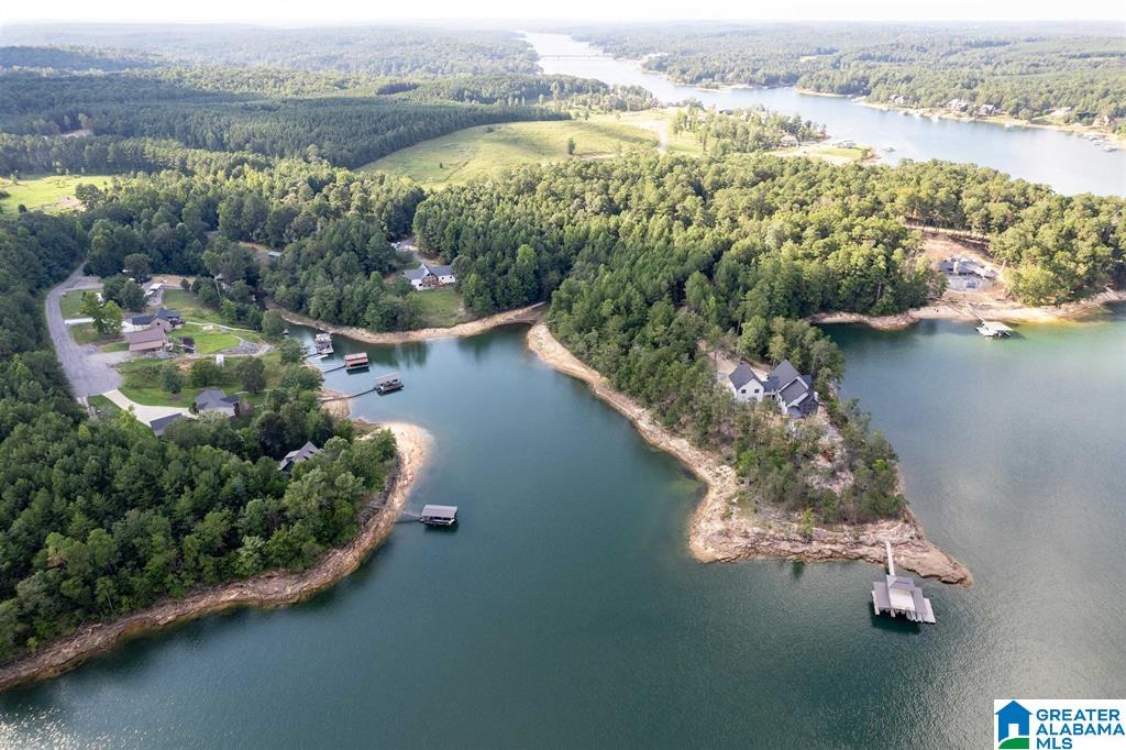 Lot D Camp Jimmy Goodwin Road, Unit LOT D Jasper, AL 35503 - Photo 8 of 13