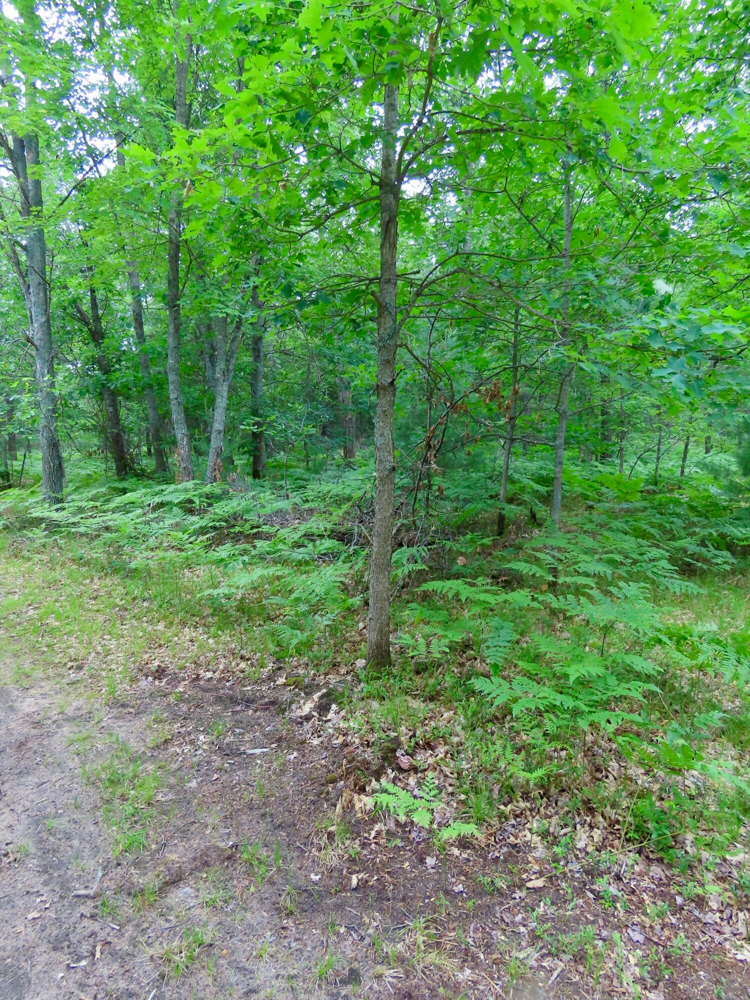 12775 Kohlman Road Atlanta, MI 49709 - Photo 55 of 61 Gallery Image 55