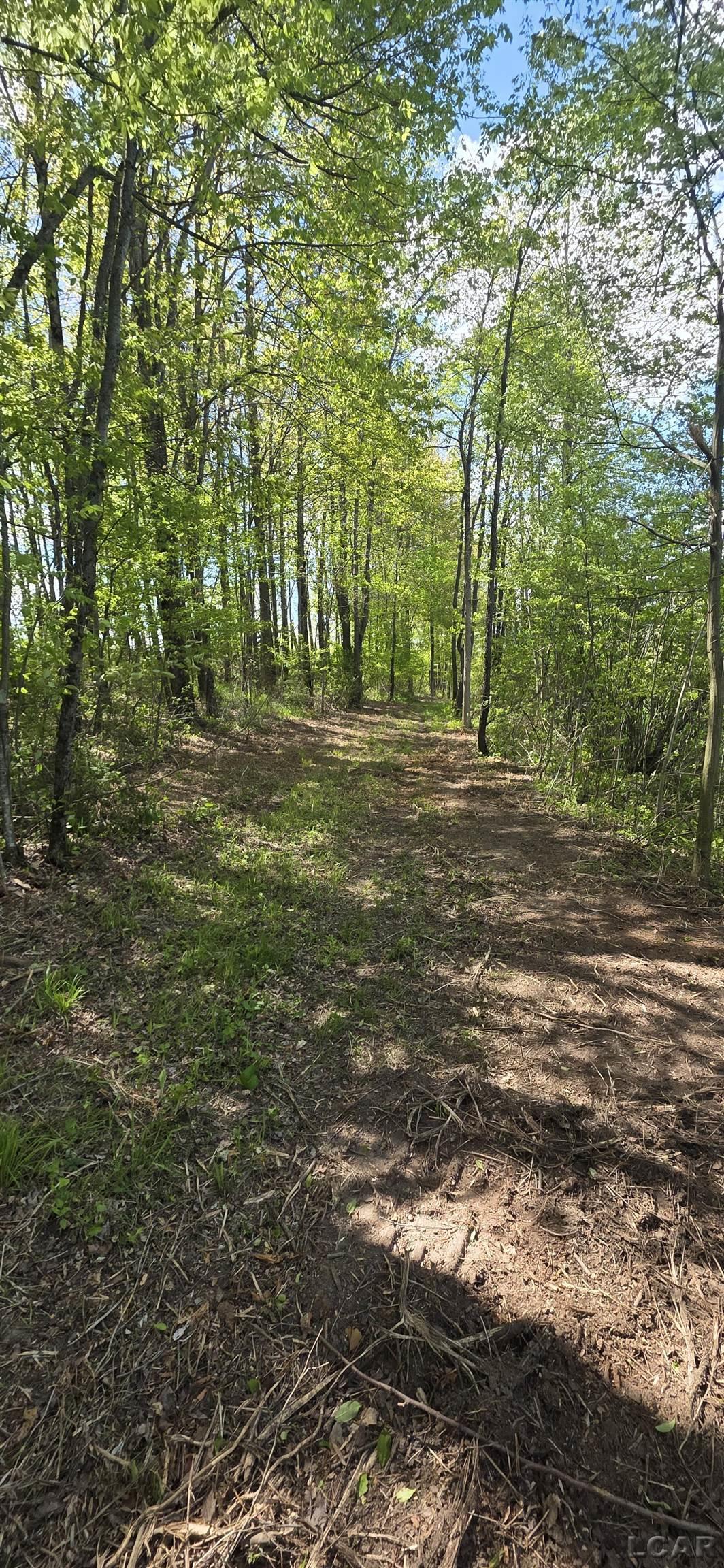 15252 27 Mile Road Albion, MI 49224 - Photo 17 of 57