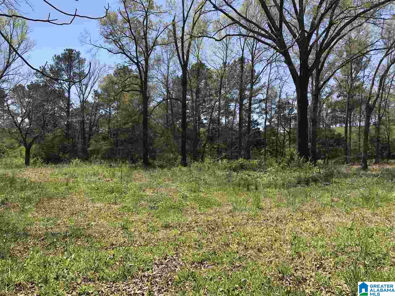 4133 Roy Webb Road, Unit 1 Jacksonville, AL 36265 - Photo 1 of 40