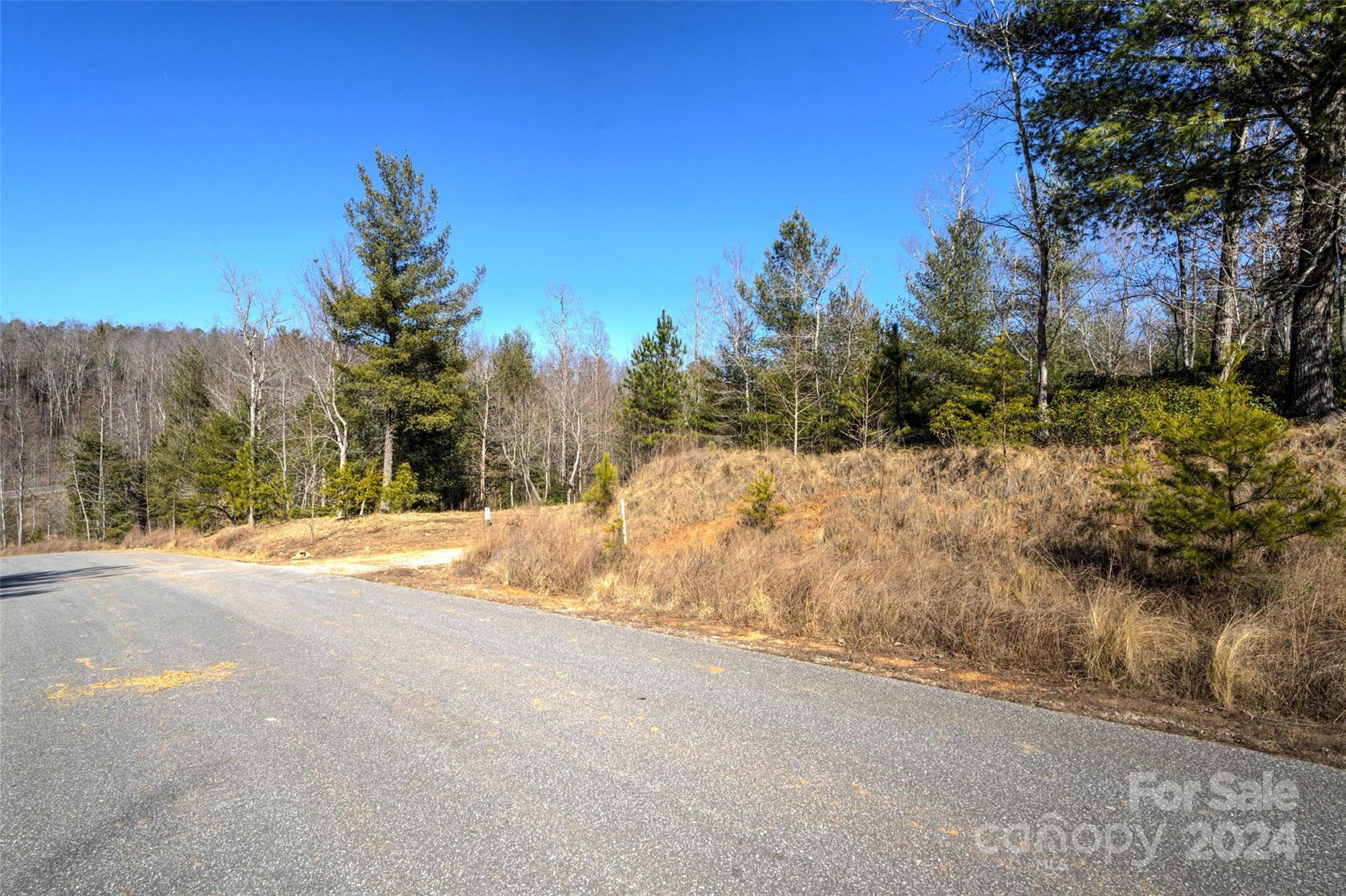 93 Ridge Point Road, Unit 17 Nebo, NC 28761 - Photo 16 of 30 Gallery Image 16