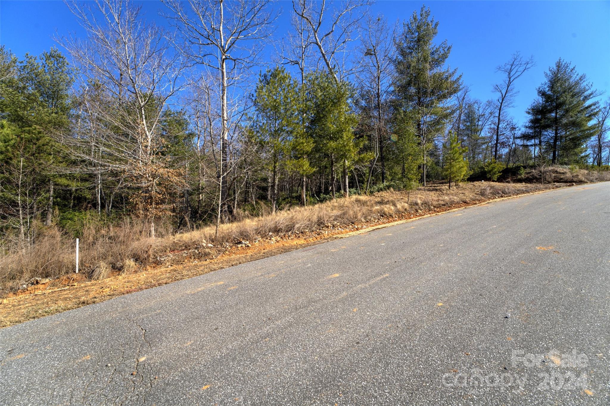 93 Ridge Point Road, Unit 17 Nebo, NC 28761 - Photo 18 of 30 Gallery Image 18