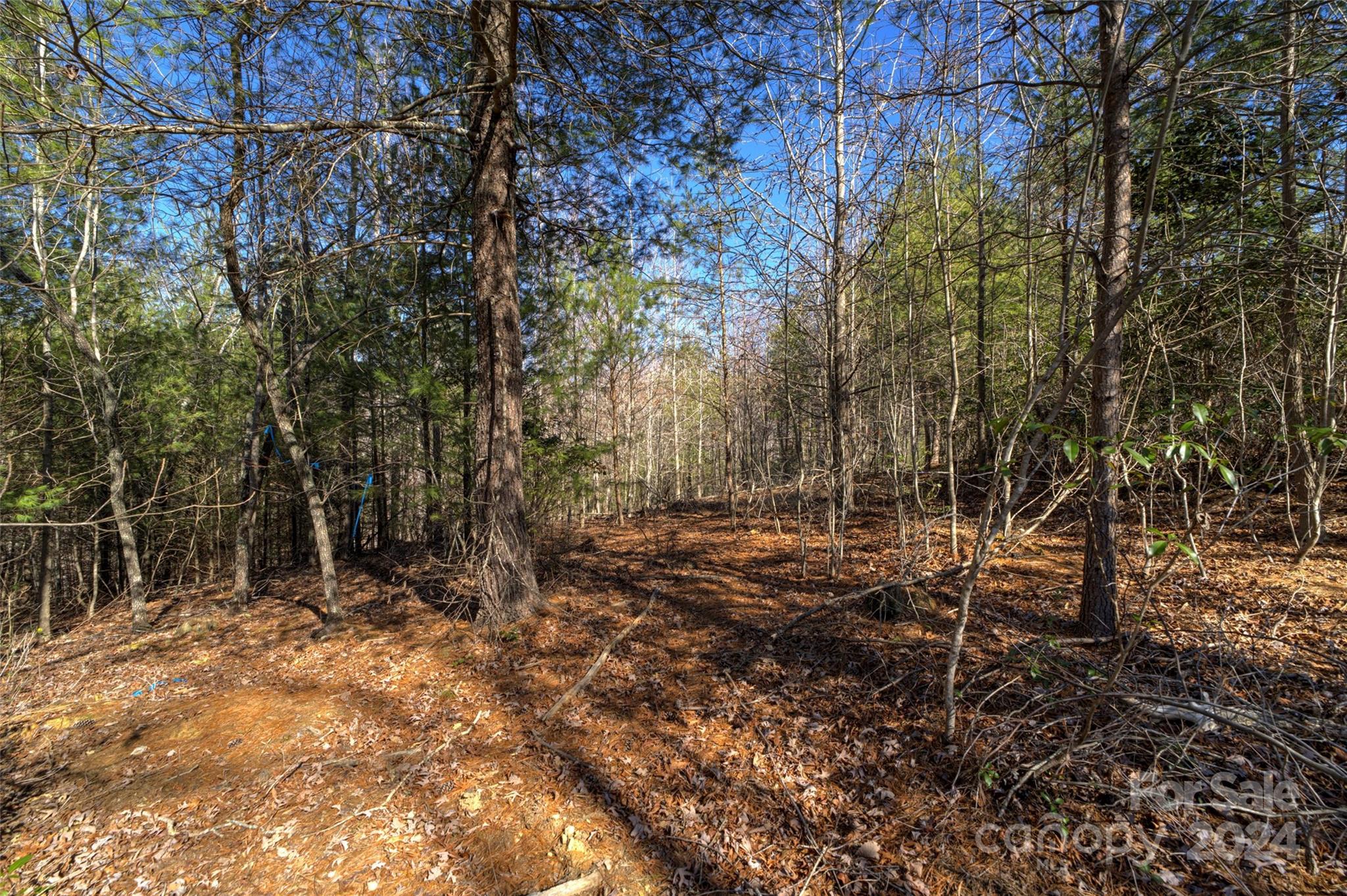 93 Ridge Point Road, Unit 17 Nebo, NC 28761 - Photo 8 of 30 Gallery Image 8