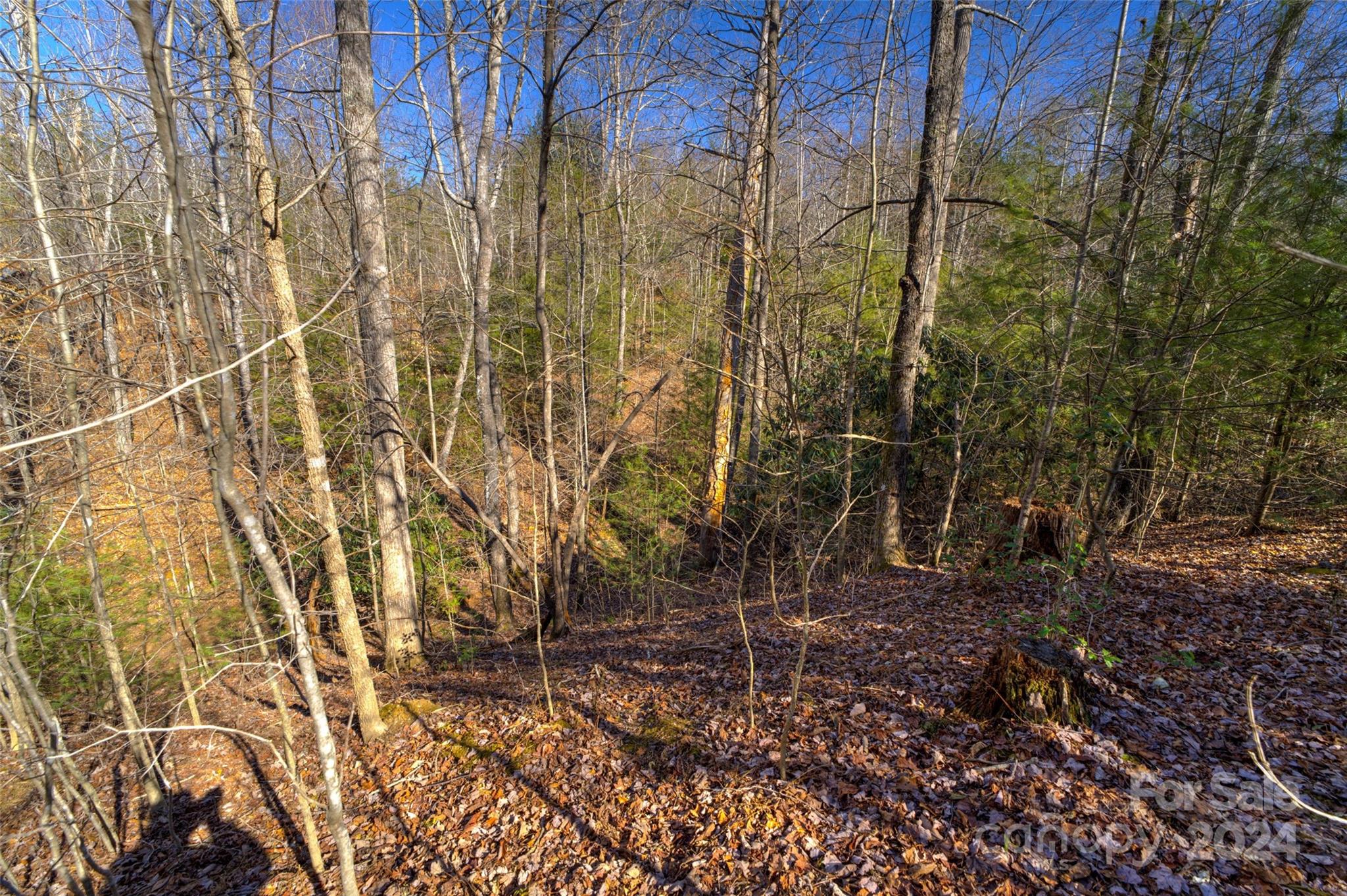 93 Ridge Point Road, Unit 17 Nebo, NC 28761 - Photo 10 of 30 Gallery Image 10