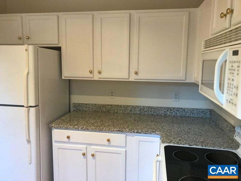 252 Snapdragon Road Ruckersville, VA 22968 - Photo 12 of 23