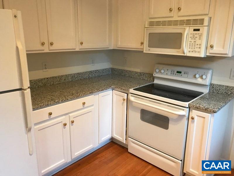 252 Snapdragon Road Ruckersville, VA 22968 - Photo 9 of 23