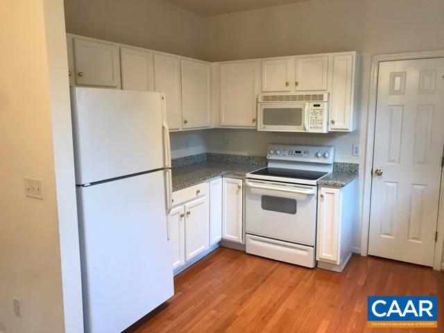 252 Snapdragon Road Ruckersville, VA 22968 - Photo 10 of 23