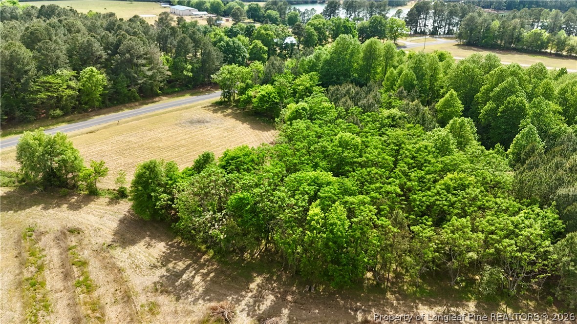 Lot 2 Joe Collins Road Lillington, NC 27546 - Photo 3 of 3