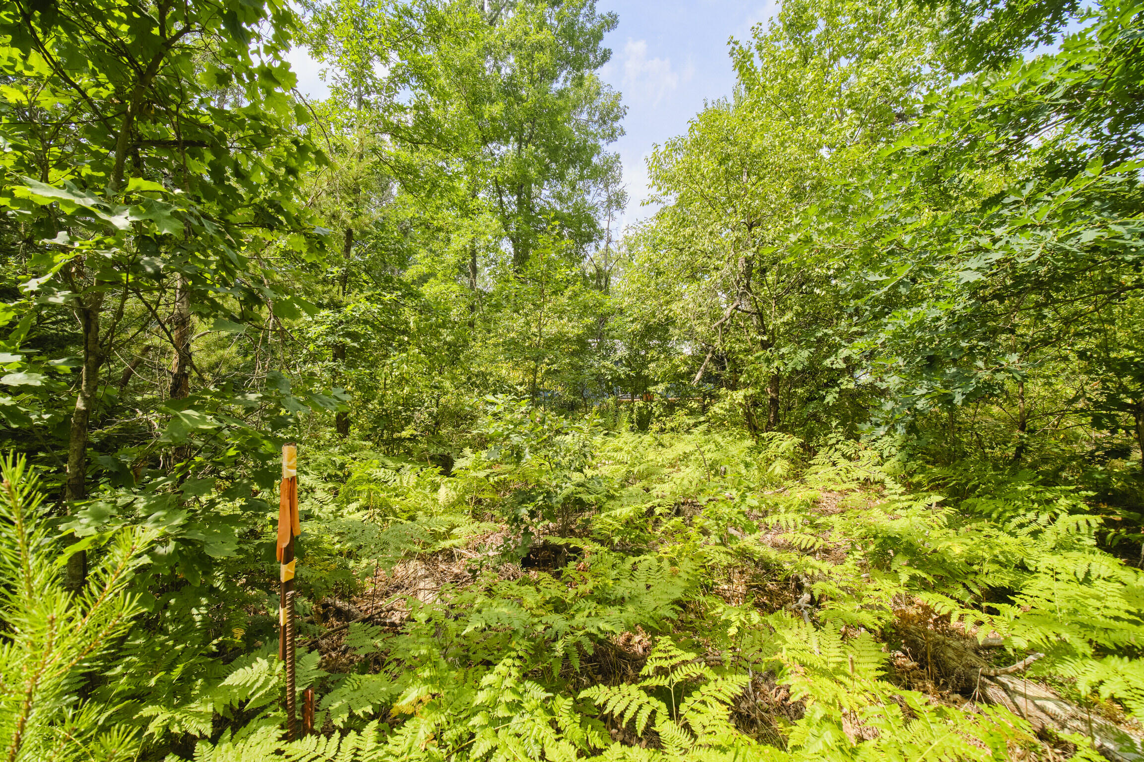 925 South High Bridge Road Wellston, MI 49689 - Photo 53 of 55 Property views
