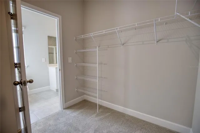 a view of room with walk in closet and window