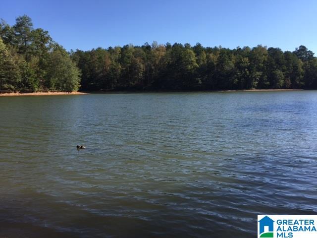 228 County Road, Unit 4 Lineville, AL 36266 - Photo 1 of 4