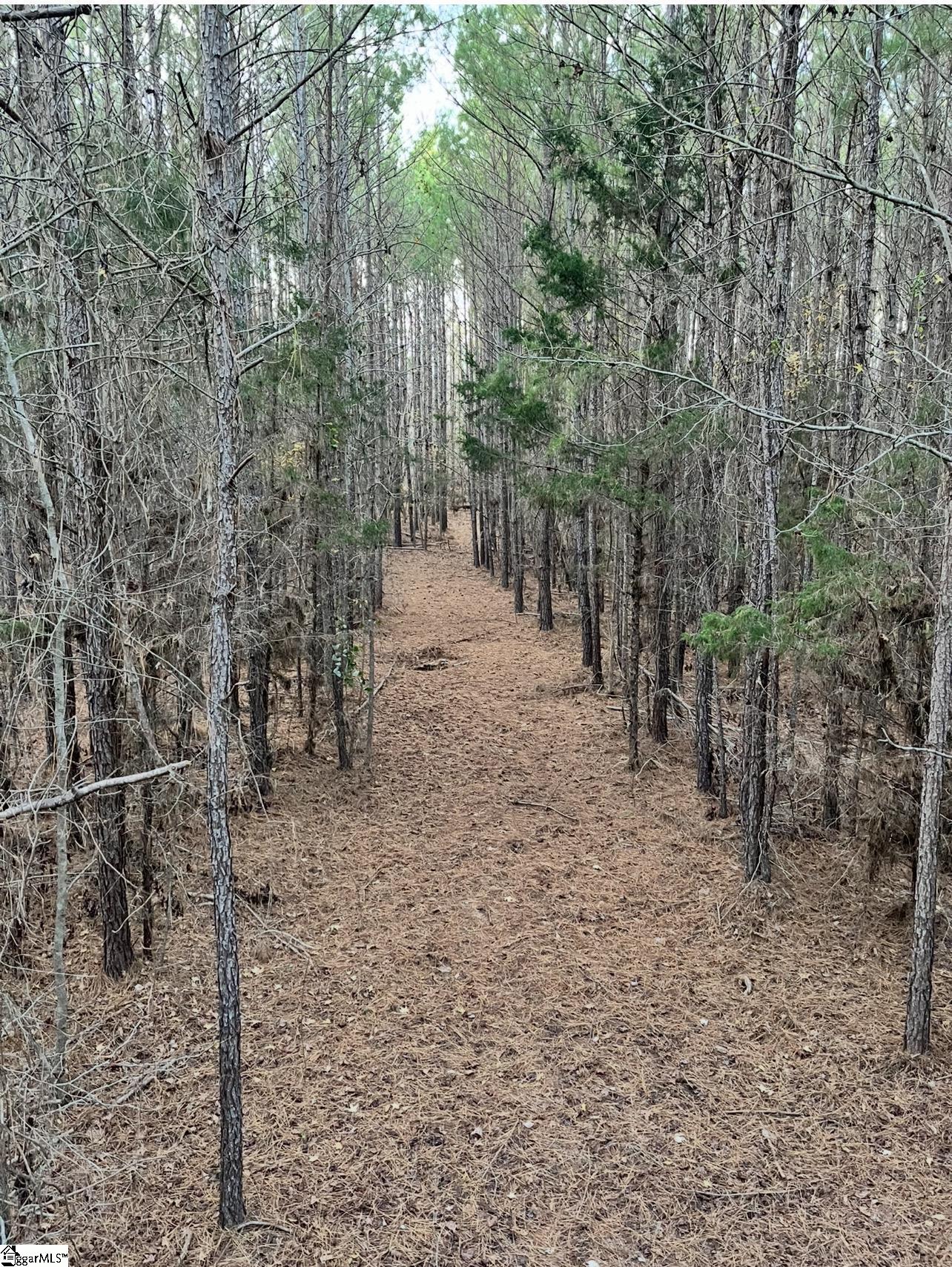0 Simpson Mill Road Laurens, SC 29360 - Photo 20 of 20