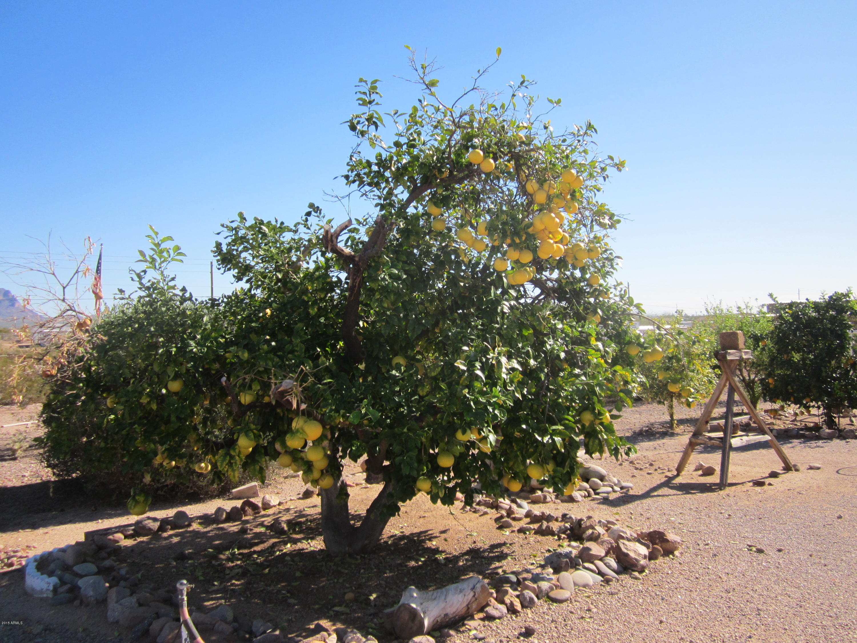 285 North Conestoga Road Apache Junction, AZ 85119 - Photo 28 of 31 IMG_3991