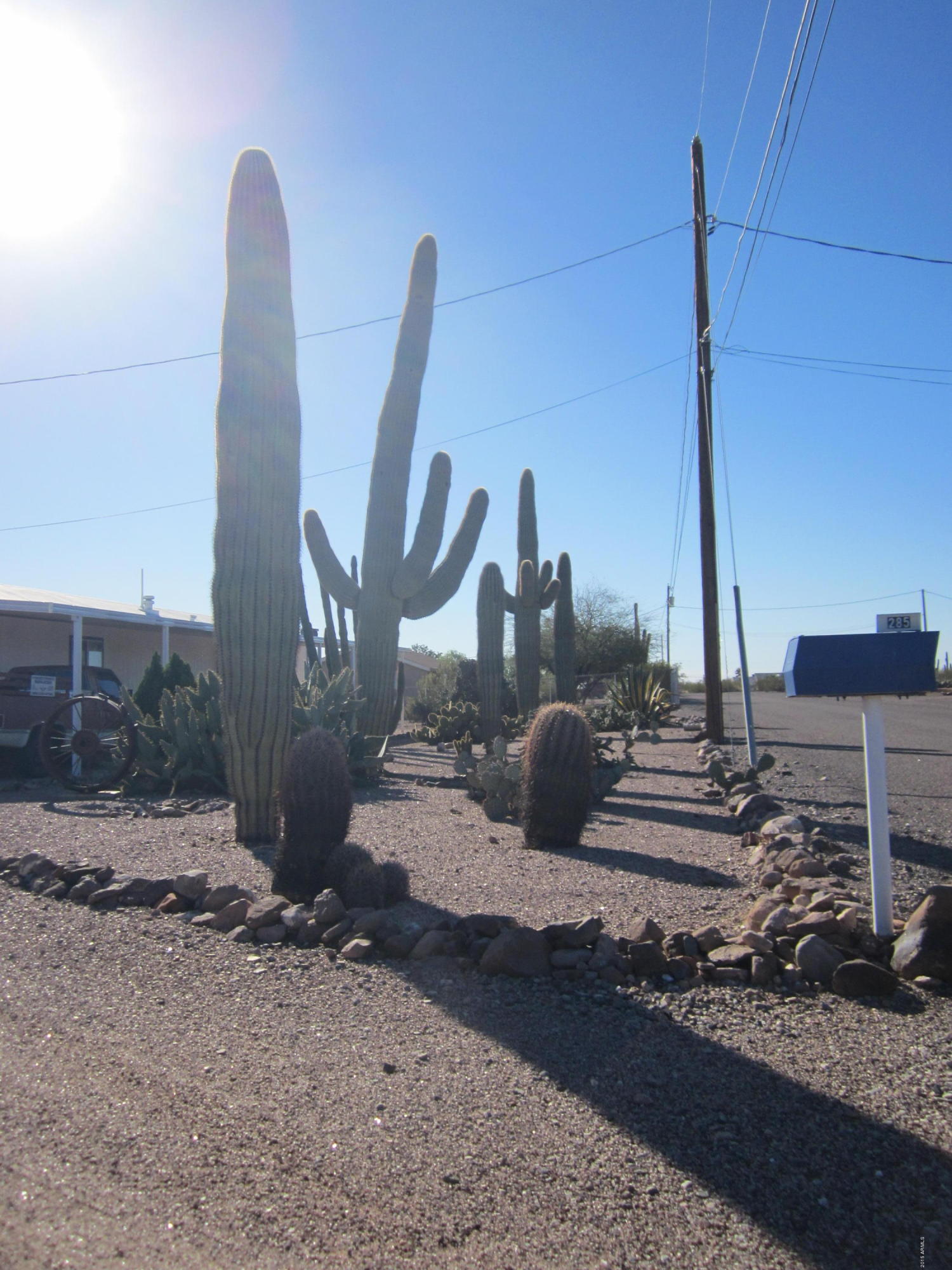285 North Conestoga Road Apache Junction, AZ 85119 - Photo 29 of 31 IMG_3987