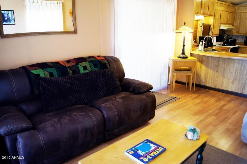 285 North Conestoga Road Apache Junction, AZ 85119 - Photo 6 of 31 Duff couch
