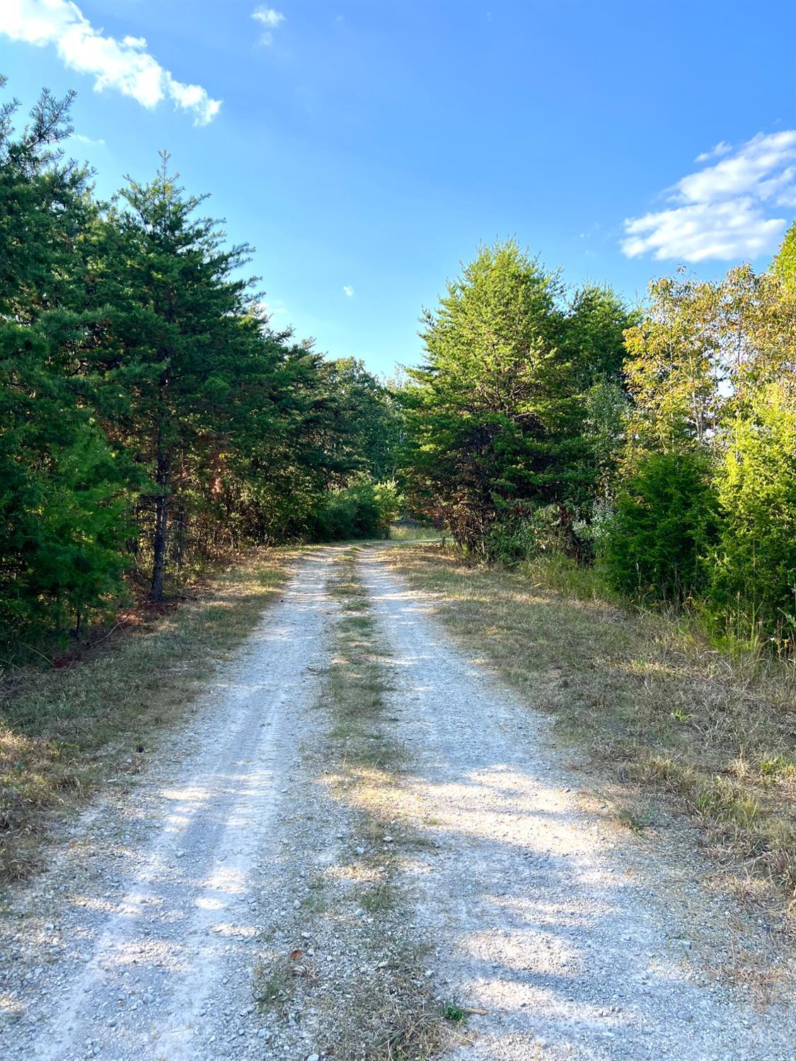 0 South Chenoweth Fork Road Piketon, OH 45661 - Photo 82 of 95