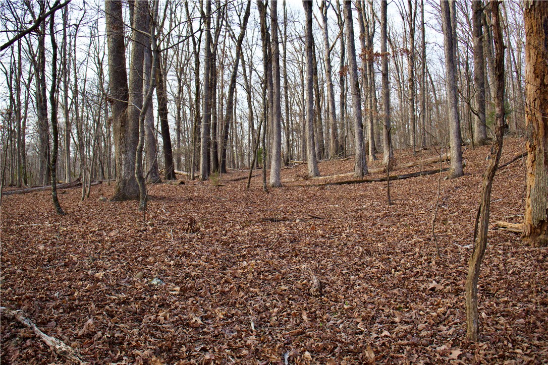 22.37 /- Acres Price Road Winslow, AR 72959 - Photo 34 of 60 Gallery Image 34