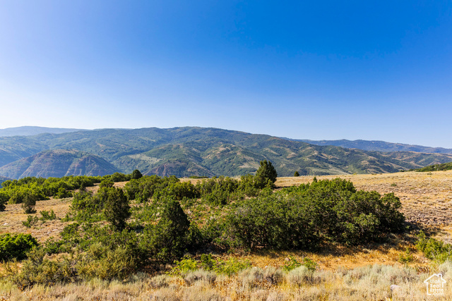 3344 North Oak Cyn Road, Unit 553 Huntsville, UT 84317 - Photo 5 of 16