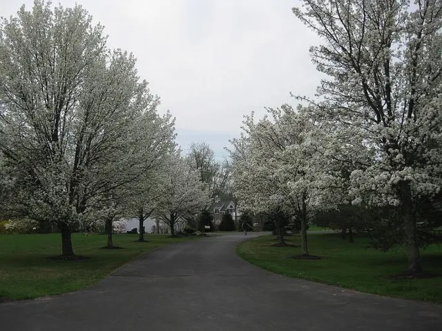 $1,115,500 | 1209 Bucks Road, Perkasie, PA 18944