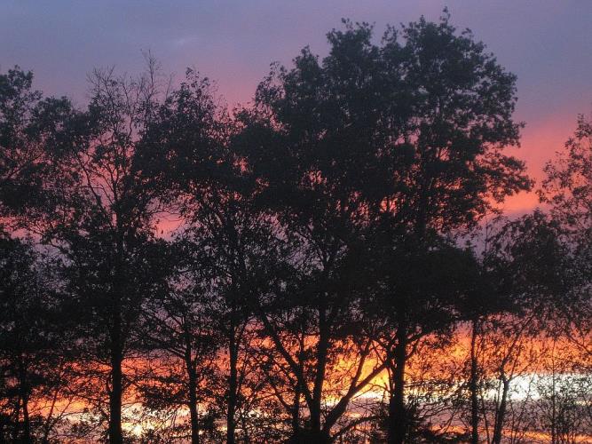 1209 Bucks Road Perkasie, PA 18944 - Photo 14 of 30