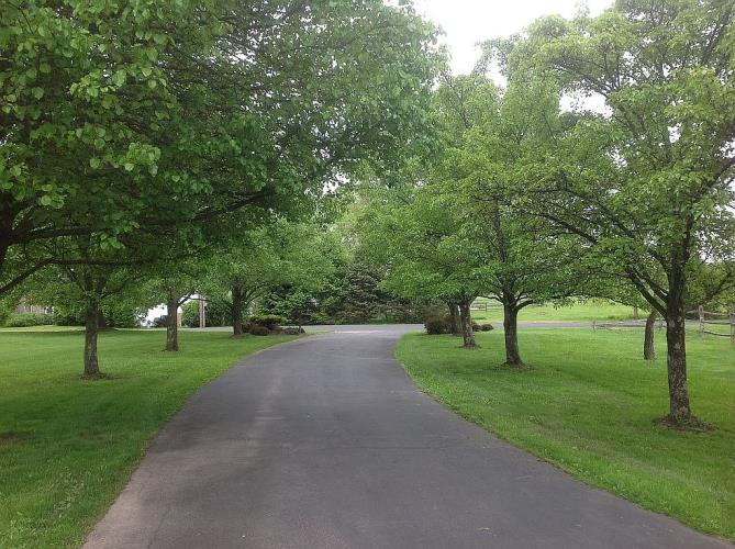 1209 Bucks Road Perkasie, PA 18944 - Photo 17 of 30